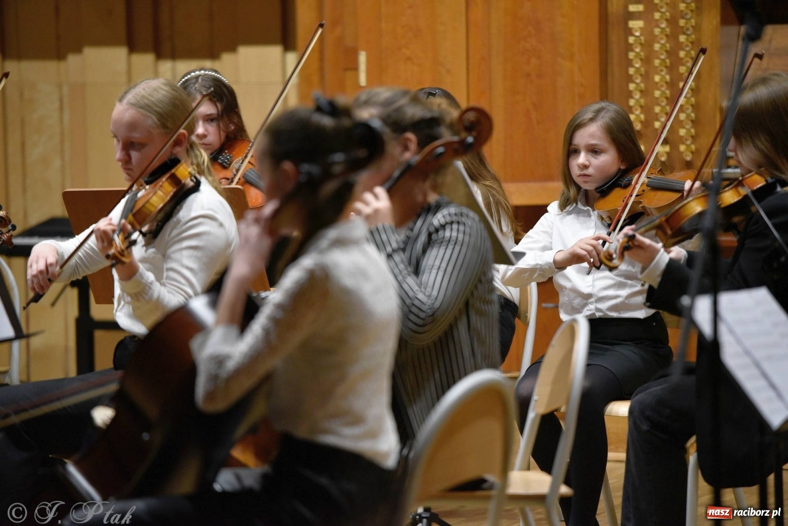 Zdjęcie w galerii na portalu naszraciborz.pl: Uczniowie szkoły muzycznej zagrali dla Ukrainy wiadomości z regionu
