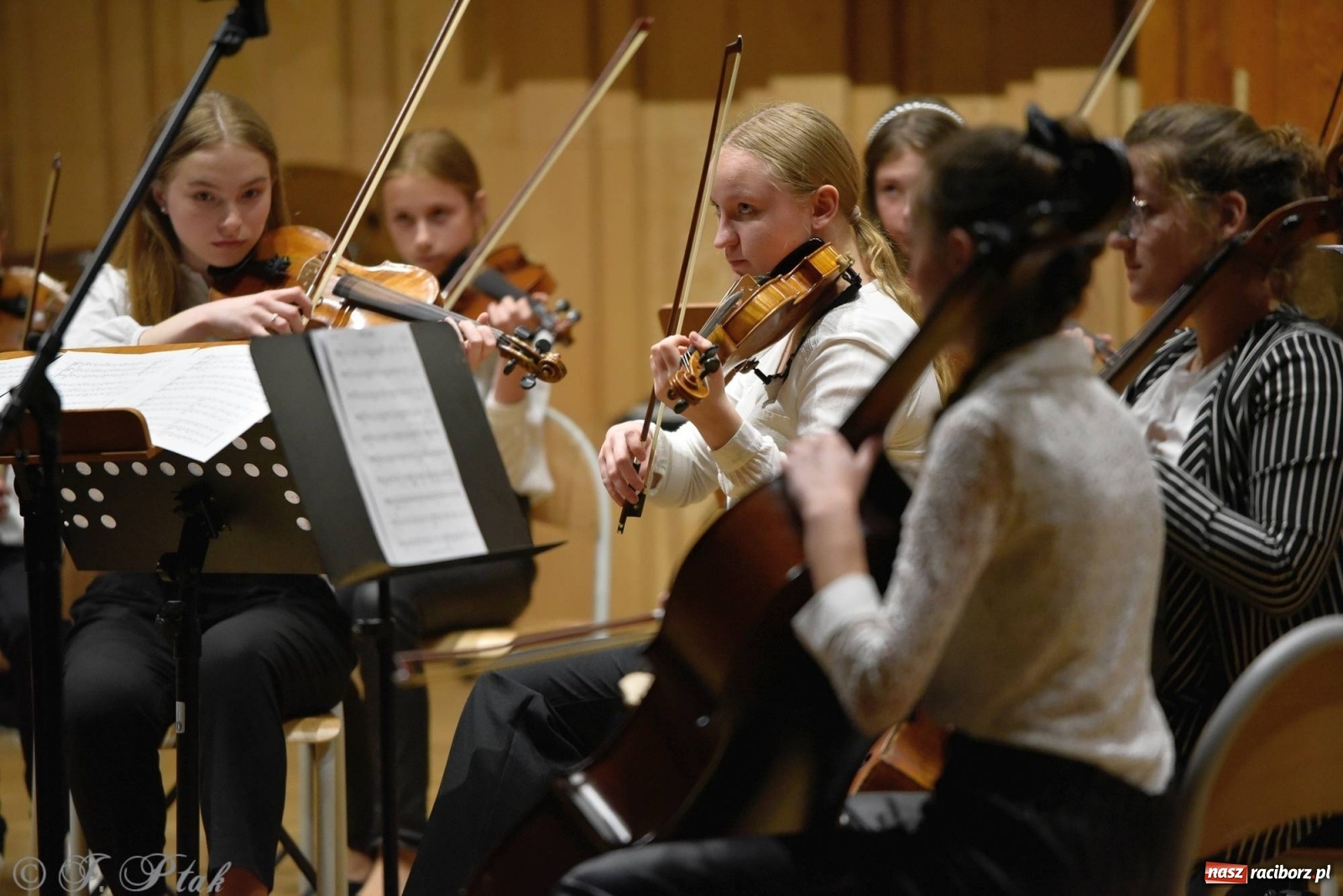Zdjęcie w galerii na portalu naszraciborz.pl: Uczniowie szkoły muzycznej zagrali dla Ukrainy wiadomości z regionu
