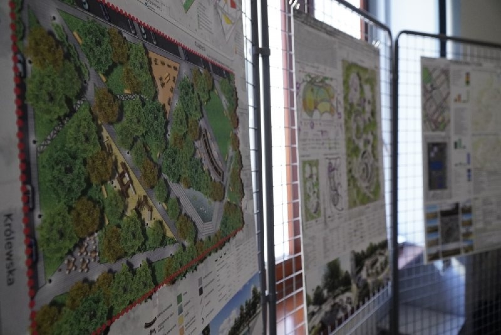 Zdjęcie w galerii na portalu naszraciborz.pl: Zielone Płuca Ostroga - tak je widzą studenci raciborskiej PWSZ [WIZUALIZACJE] wiadomości z regionu