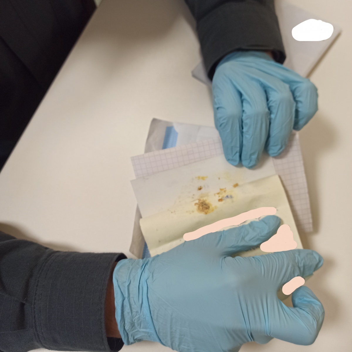 Zdjęcie w galerii na portalu naszraciborz.pl: W ZK Racibórz udaremniono przemyt środków odurzających wiadomości z regionu