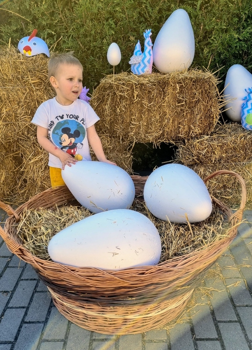 Zdjęcie w galerii na portalu naszraciborz.pl: Pod Raciborzem powstała wioska kurczaka wiadomości z regionu