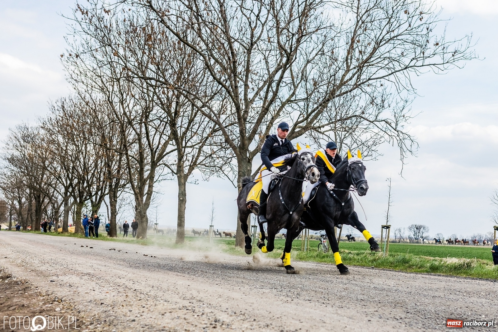 Zdjęcie w galerii na portalu naszraciborz.pl: Sudolskie ściganie na koniec rajtowania. Doszło do upadku [FOTO i WIDEO] wiadomości z regionu