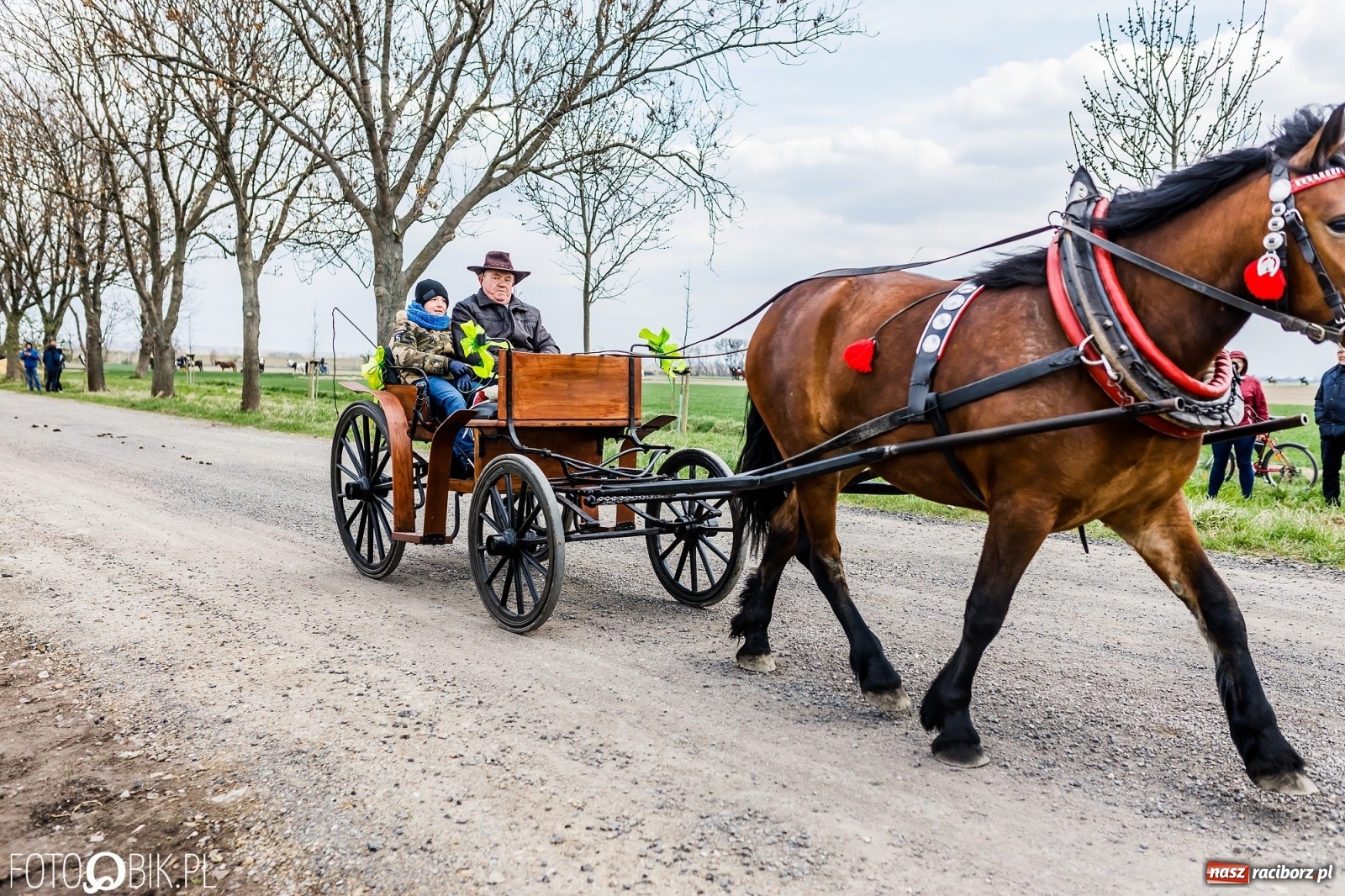 Zdjęcie w galerii na portalu naszraciborz.pl: Sudolskie ściganie na koniec rajtowania. Doszło do upadku [FOTO i WIDEO] wiadomości z regionu