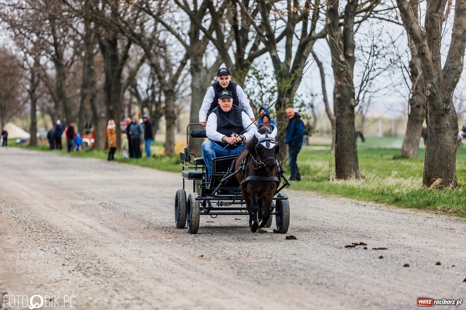 Zdjęcie w galerii na portalu naszraciborz.pl: Sudolskie ściganie na koniec rajtowania. Doszło do upadku [FOTO i WIDEO] wiadomości z regionu