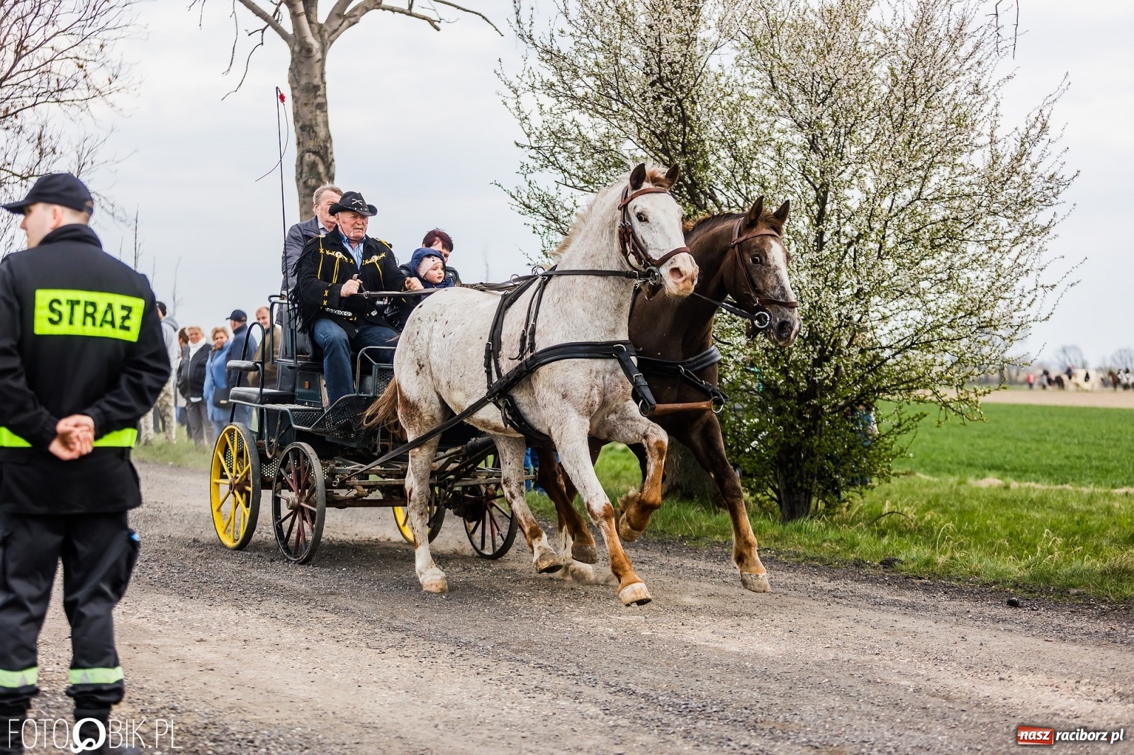 Zdjęcie w galerii na portalu naszraciborz.pl: Sudolskie ściganie na koniec rajtowania. Doszło do upadku [FOTO i WIDEO] wiadomości z regionu