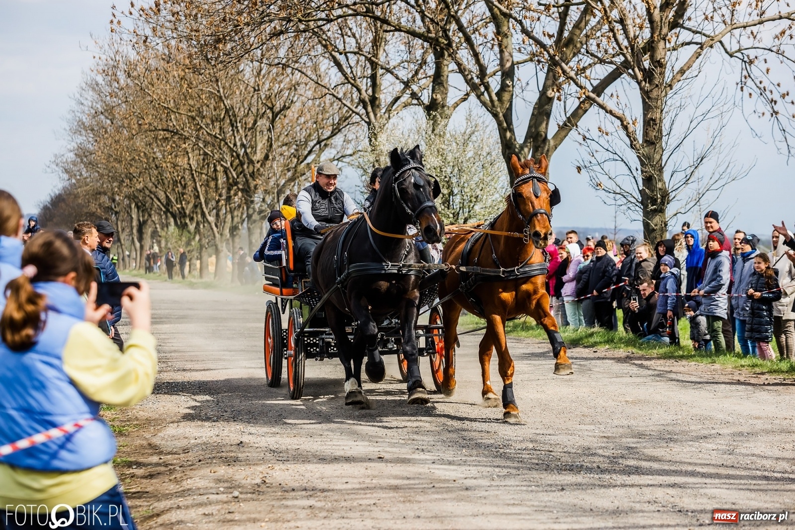 Zdjęcie w galerii na portalu naszraciborz.pl: Sudolskie ściganie na koniec rajtowania. Doszło do upadku [FOTO i WIDEO] wiadomości z regionu