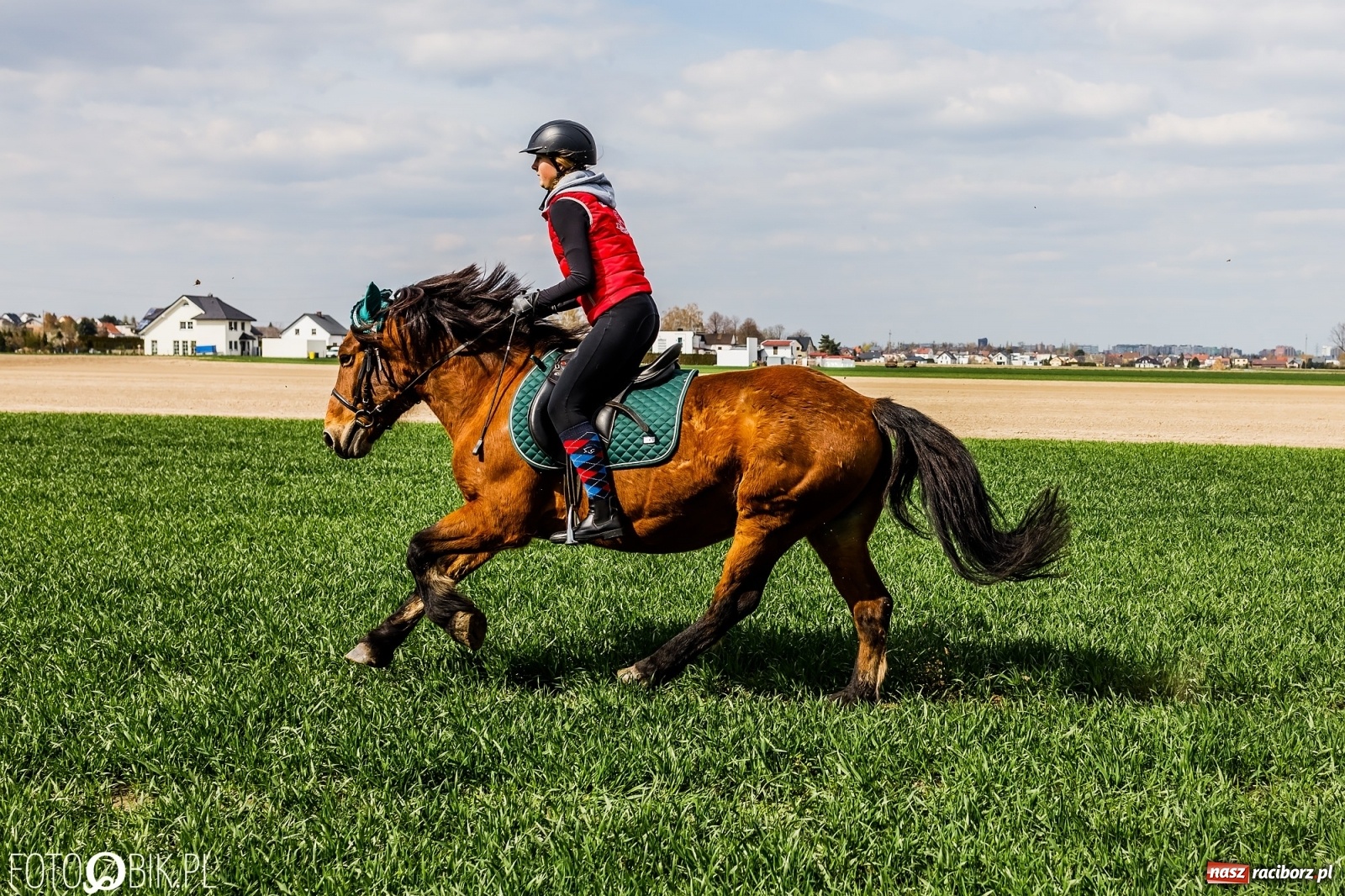 Zdjęcie w galerii na portalu naszraciborz.pl: Sudolskie ściganie na koniec rajtowania. Doszło do upadku [FOTO i WIDEO] wiadomości z regionu