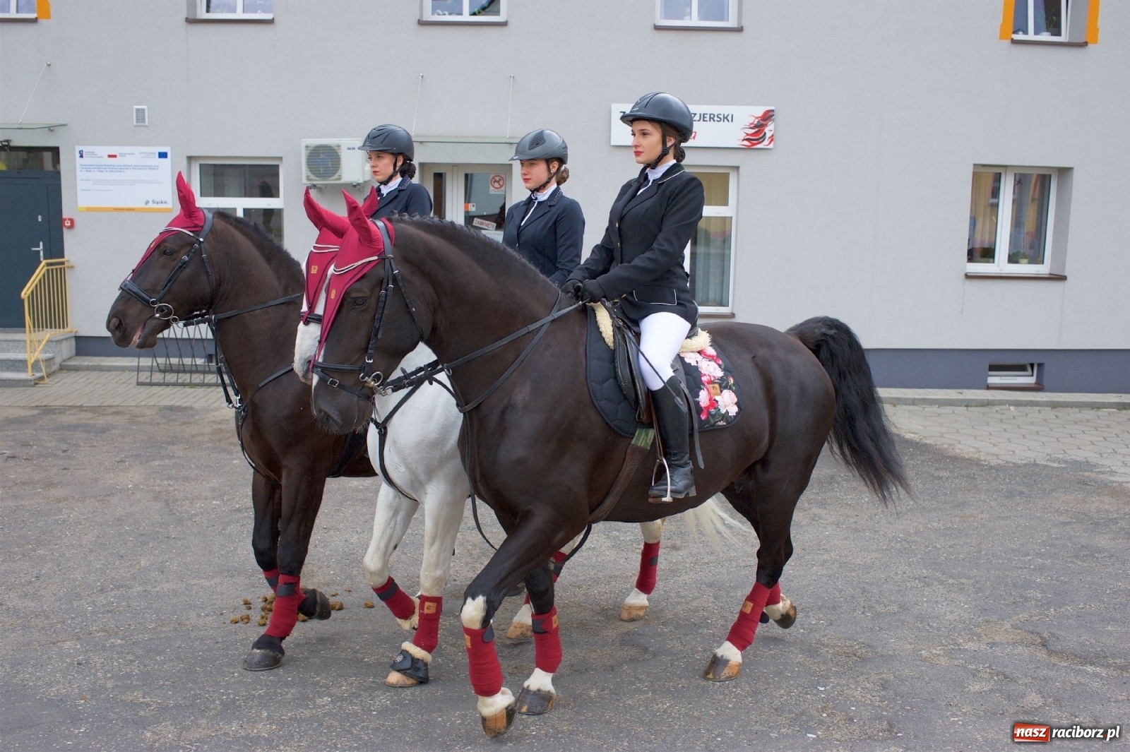 Zdjęcie w galerii na portalu naszraciborz.pl: Procesja konna w Pietrowicach Wielkich [FOTO i WIDEO] wiadomości z regionu