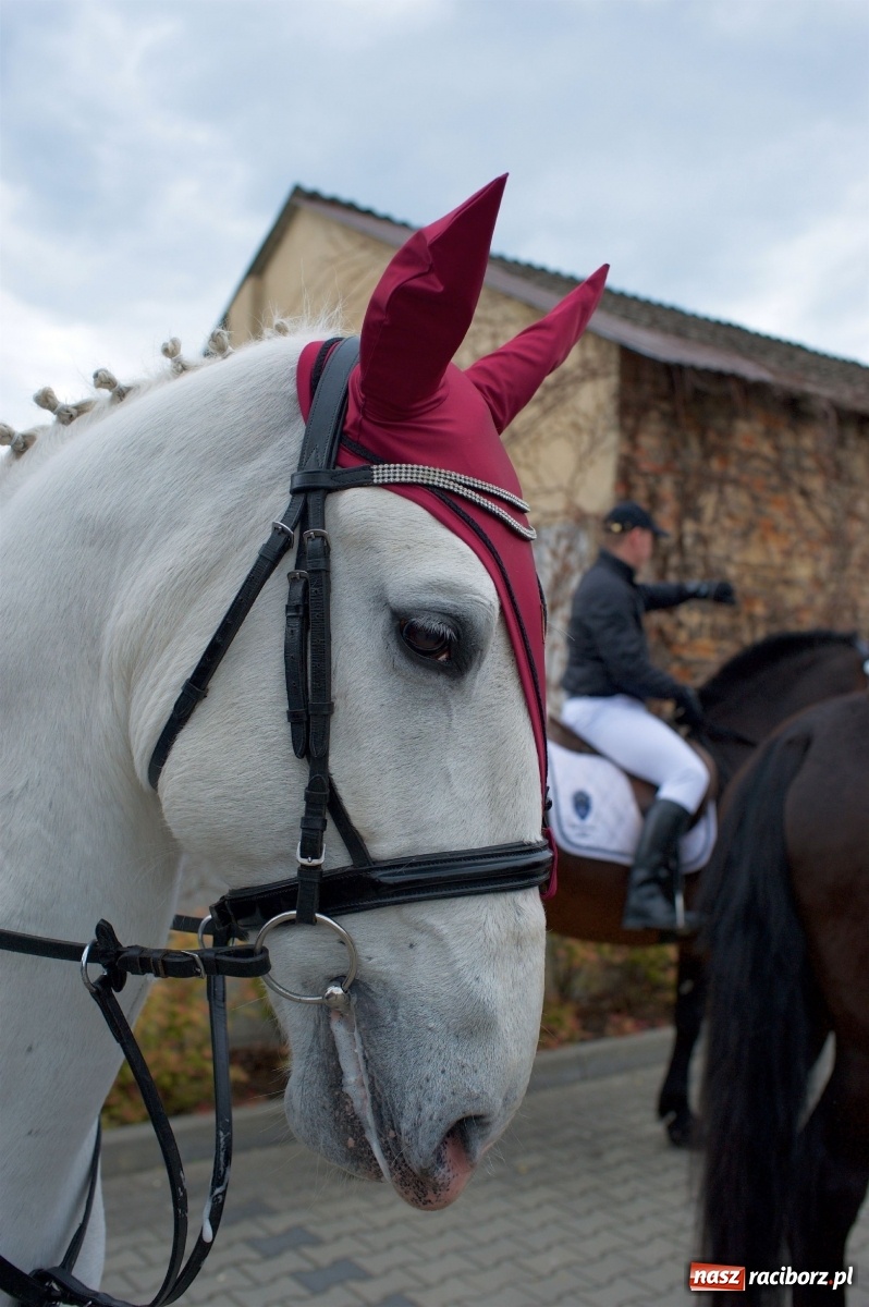 Zdjęcie w galerii na portalu naszraciborz.pl: Procesja konna w Pietrowicach Wielkich [FOTO i WIDEO] wiadomości z regionu