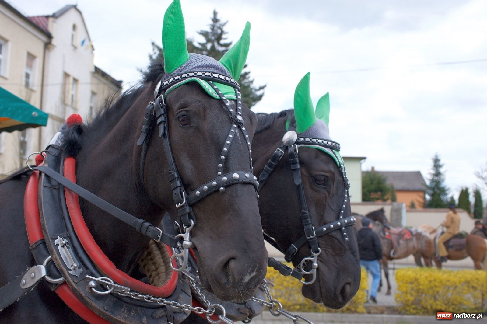 Zdjęcie w galerii na portalu naszraciborz.pl: Procesja konna w Pietrowicach Wielkich [FOTO i WIDEO] wiadomości z regionu