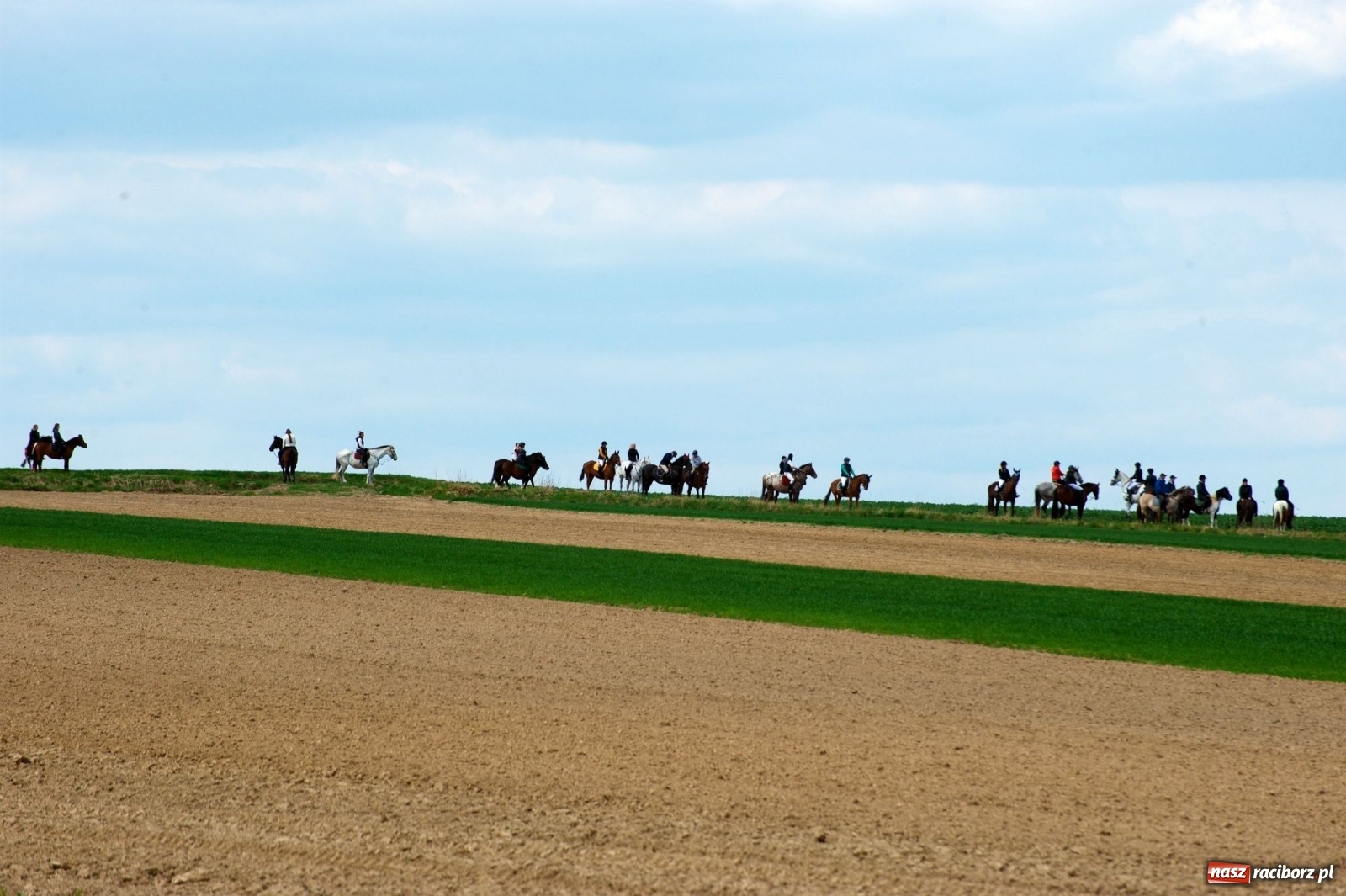 Zdjęcie w galerii na portalu naszraciborz.pl: Procesja konna w Bieńkowicach [FOTO i WIDEO] wiadomości z regionu