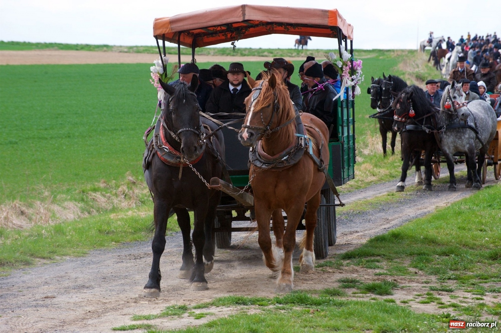 Zdjęcie w galerii na portalu naszraciborz.pl: Procesja konna w Bieńkowicach [FOTO i WIDEO] wiadomości z regionu