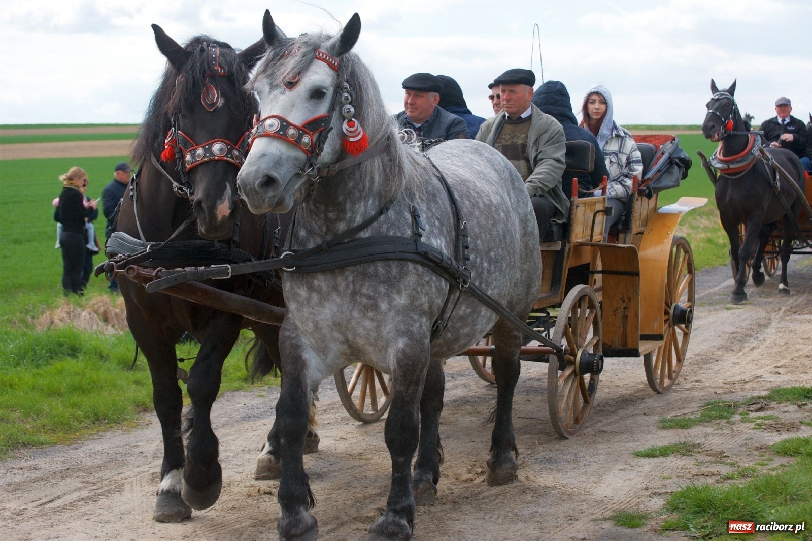 Zdjęcie w galerii na portalu naszraciborz.pl: Procesja konna w Bieńkowicach [FOTO i WIDEO] wiadomości z regionu