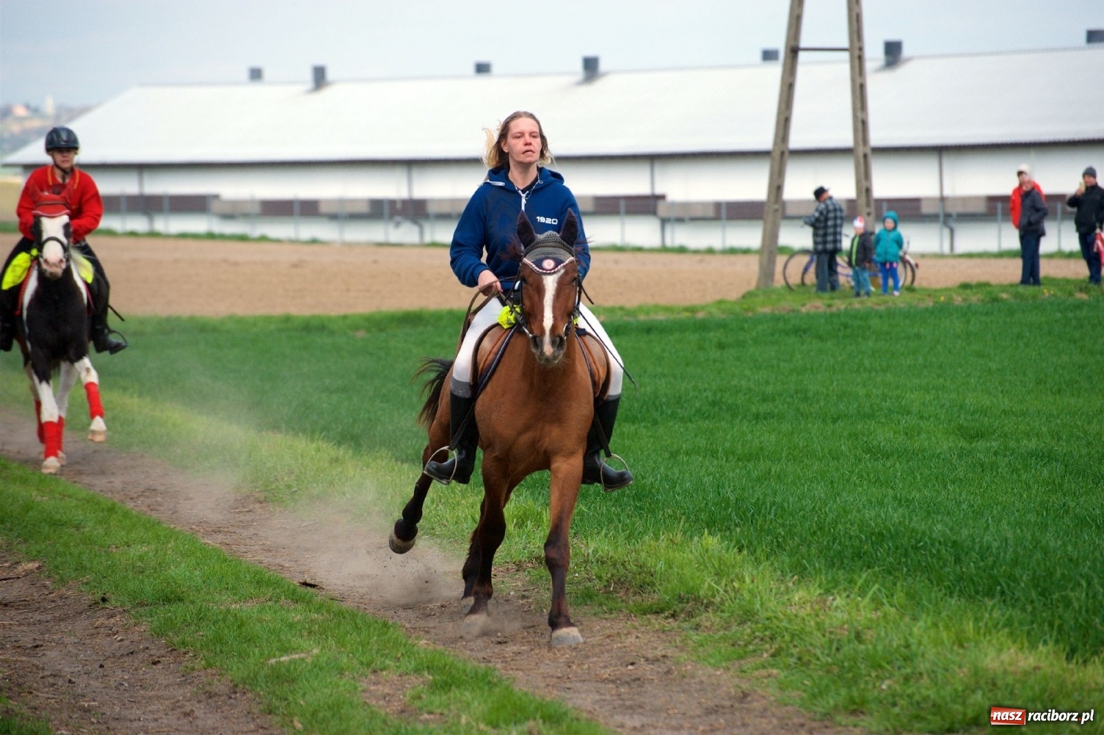 Zdjęcie w galerii na portalu naszraciborz.pl: Procesja konna w Bieńkowicach [FOTO i WIDEO] wiadomości z regionu