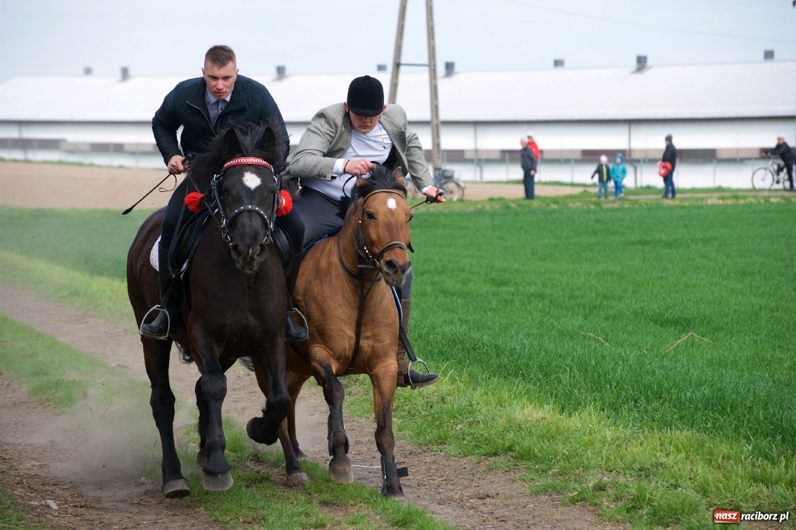Zdjęcie w galerii na portalu naszraciborz.pl: Procesja konna w Bieńkowicach [FOTO i WIDEO] wiadomości z regionu