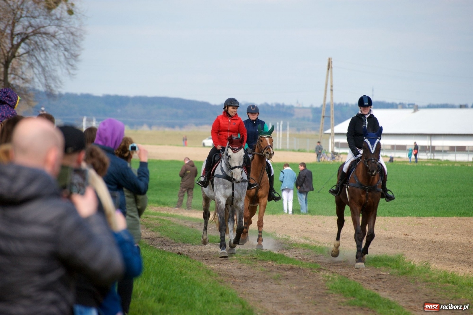 Zdjęcie w galerii na portalu naszraciborz.pl: Procesja konna w Bieńkowicach [FOTO i WIDEO] wiadomości z regionu
