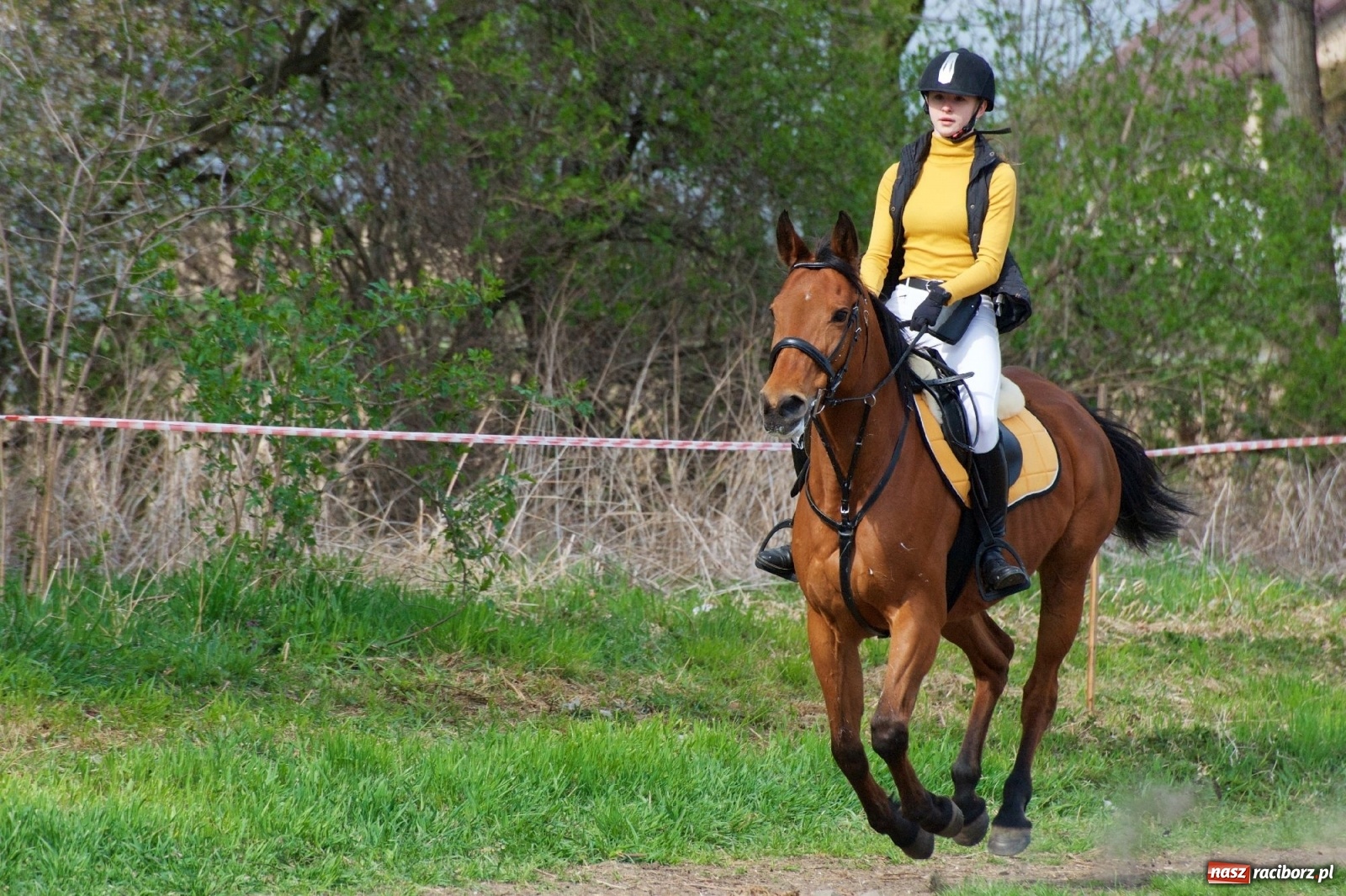 Zdjęcie w galerii na portalu naszraciborz.pl: Procesja konna w Bieńkowicach [FOTO i WIDEO] wiadomości z regionu