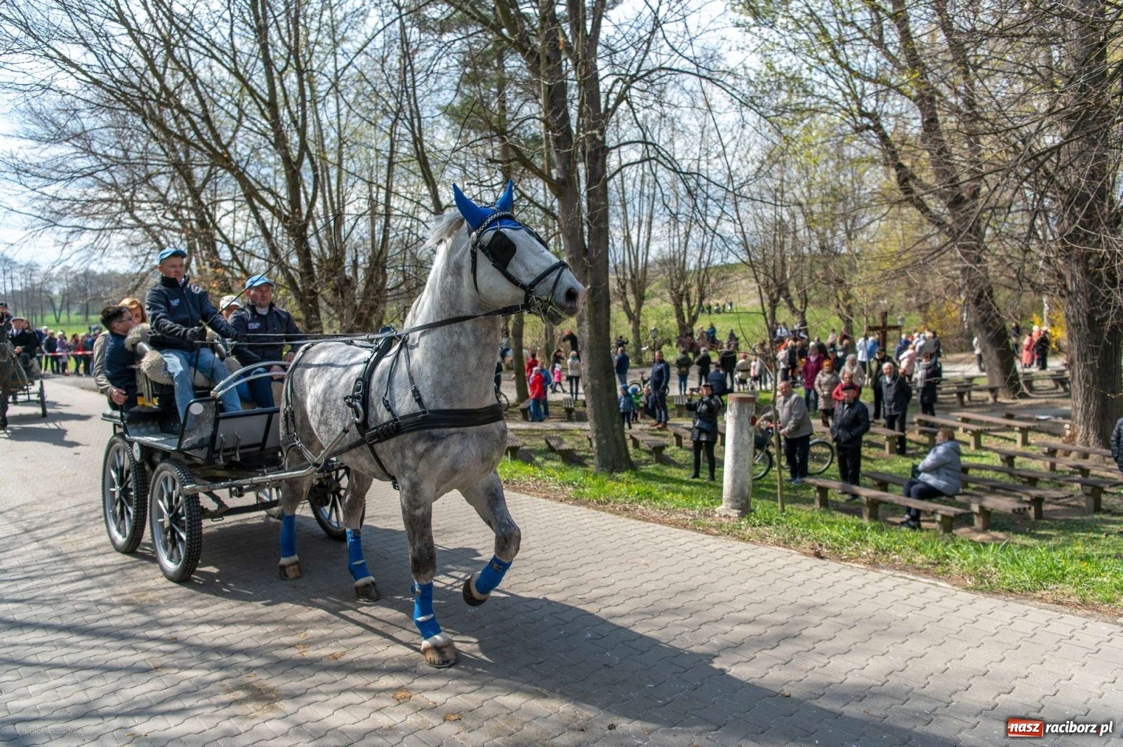 Zdjęcie w galerii na portalu naszraciborz.pl: Wielkanocna procesja konna w Pietrowicach Wielkich [PROGRAM] wiadomości z regionu