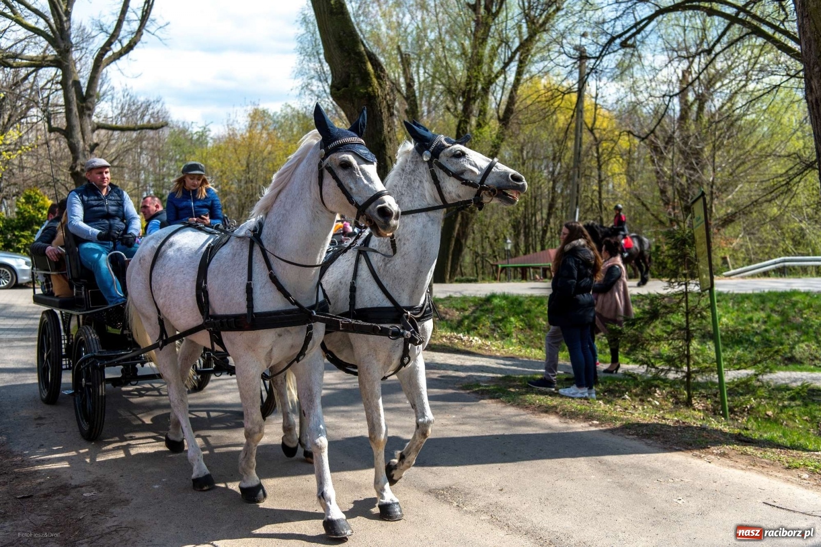 Zdjęcie w galerii na portalu naszraciborz.pl: Wielkanocna procesja konna w Pietrowicach Wielkich [PROGRAM] wiadomości z regionu