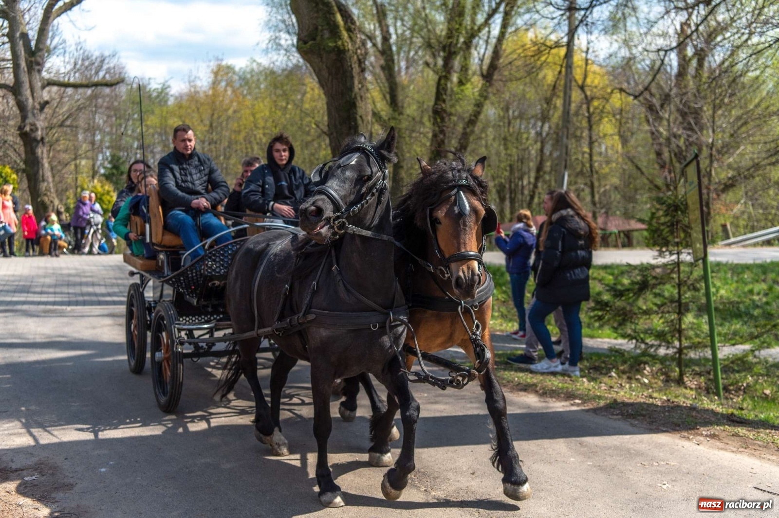Zdjęcie w galerii na portalu naszraciborz.pl: Wielkanocna procesja konna w Pietrowicach Wielkich [PROGRAM] wiadomości z regionu