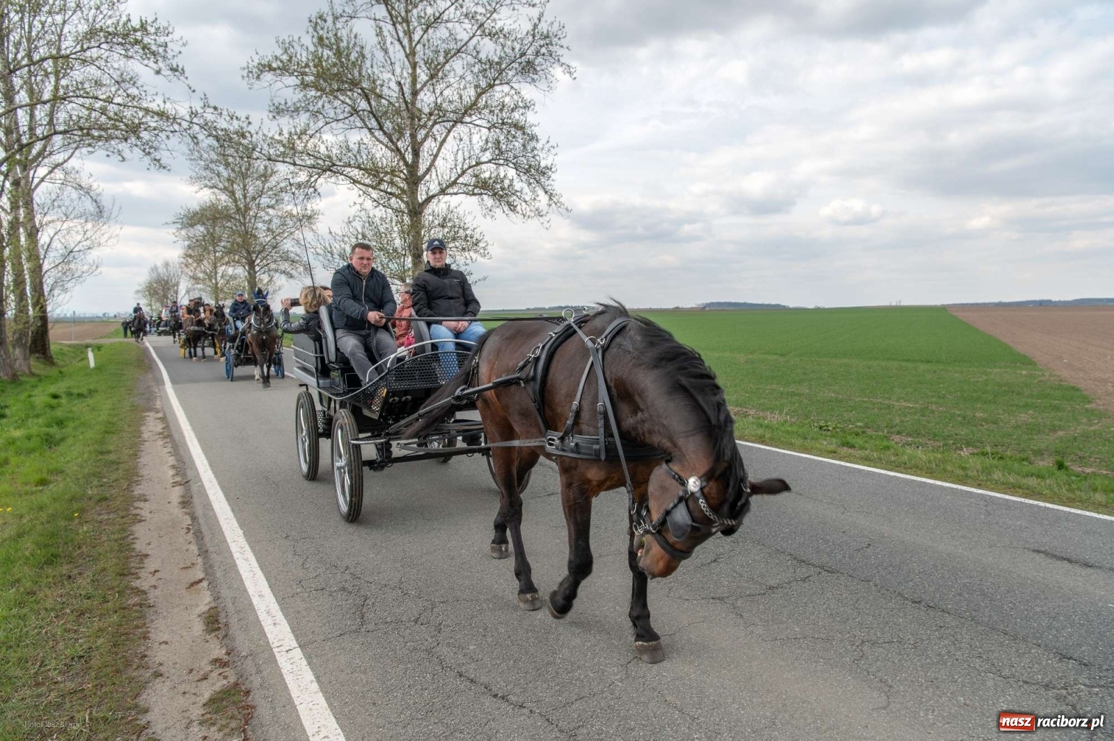 Zdjęcie w galerii na portalu naszraciborz.pl: Wielkanocna procesja konna w Pietrowicach Wielkich [PROGRAM] wiadomości z regionu
