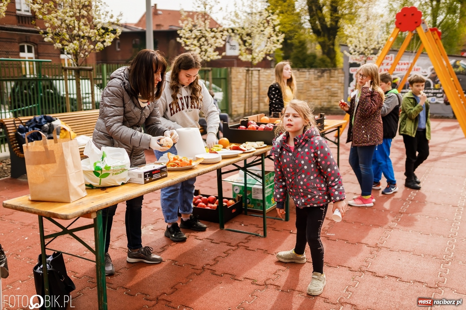 Zdjęcie w galerii na portalu naszraciborz.pl: Dzień Ziemi w Ogródku Jordanowskim przepełniony atrakcjami wiadomości z regionu