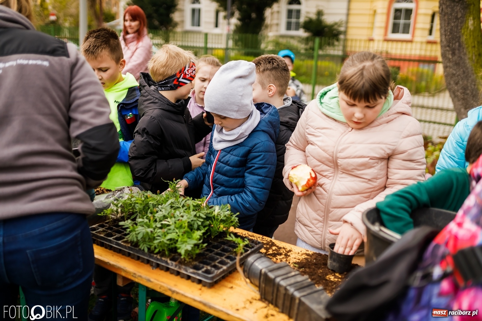 Zdjęcie w galerii na portalu naszraciborz.pl: Dzień Ziemi w Ogródku Jordanowskim przepełniony atrakcjami wiadomości z regionu