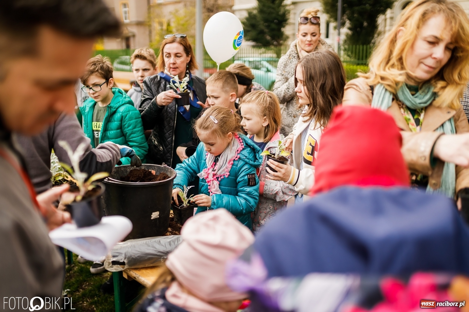 Zdjęcie w galerii na portalu naszraciborz.pl: Dzień Ziemi w Ogródku Jordanowskim przepełniony atrakcjami wiadomości z regionu
