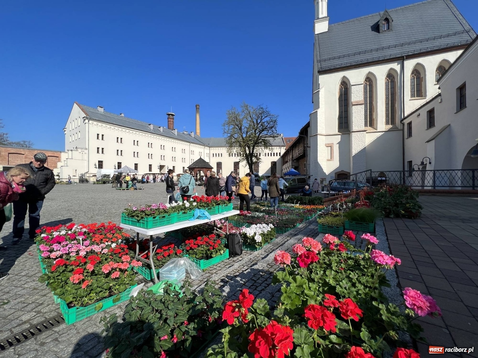 Zdjęcie w galerii na portalu naszraciborz.pl: Wiosenny jarmark kwiatów na zamkowym dziedzińcu [SPACER WIDEO] wiadomości z regionu