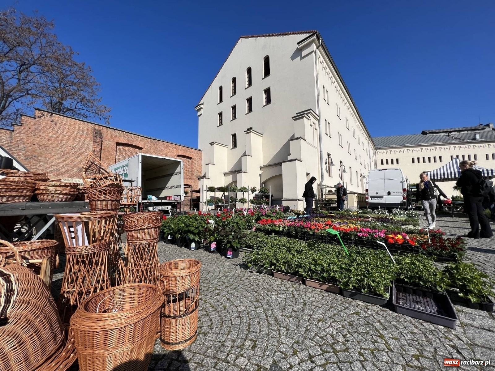 Zdjęcie w galerii na portalu naszraciborz.pl: Wiosenny jarmark kwiatów na zamkowym dziedzińcu [SPACER WIDEO] wiadomości z regionu