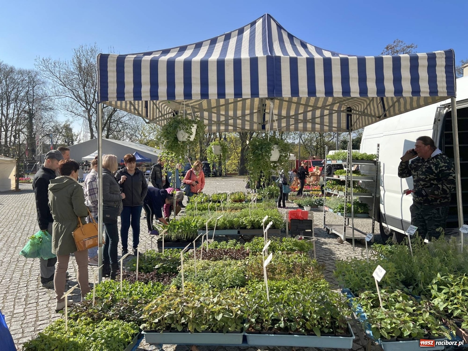 Zdjęcie w galerii na portalu naszraciborz.pl: Wiosenny jarmark kwiatów na zamkowym dziedzińcu [SPACER WIDEO] wiadomości z regionu