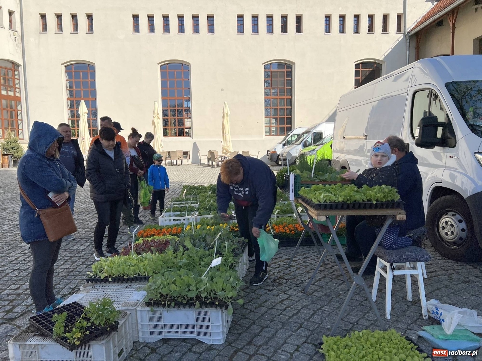 Zdjęcie w galerii na portalu naszraciborz.pl: Wiosenny jarmark kwiatów na zamkowym dziedzińcu [SPACER WIDEO] wiadomości z regionu