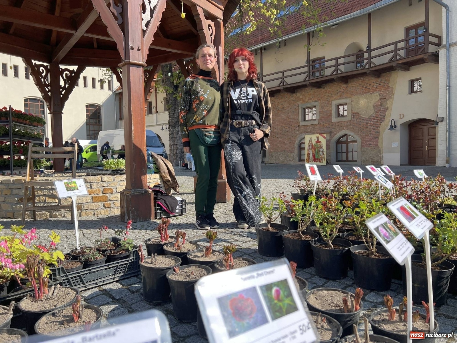 Zdjęcie w galerii na portalu naszraciborz.pl: Wiosenny jarmark kwiatów na zamkowym dziedzińcu [SPACER WIDEO] wiadomości z regionu