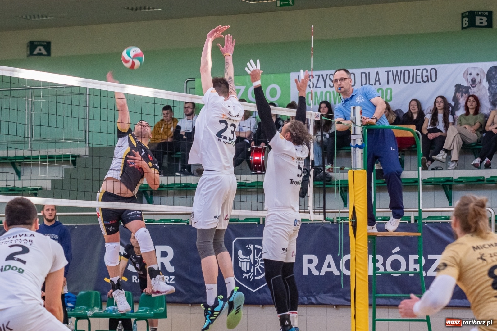 Zdjęcie w galerii na portalu naszraciborz.pl: Lunatycy zdetronizowani. XXV sezon RLPS za nami [FOTO i WIDEO] wiadomości z regionu