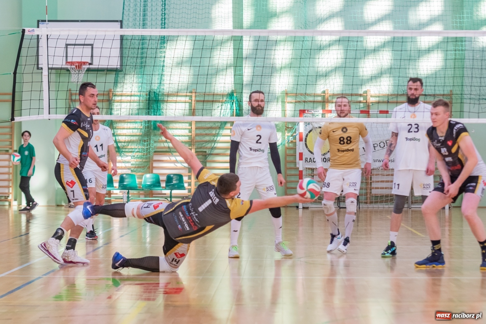 Zdjęcie w galerii na portalu naszraciborz.pl: Lunatycy zdetronizowani. XXV sezon RLPS za nami [FOTO i WIDEO] wiadomości z regionu