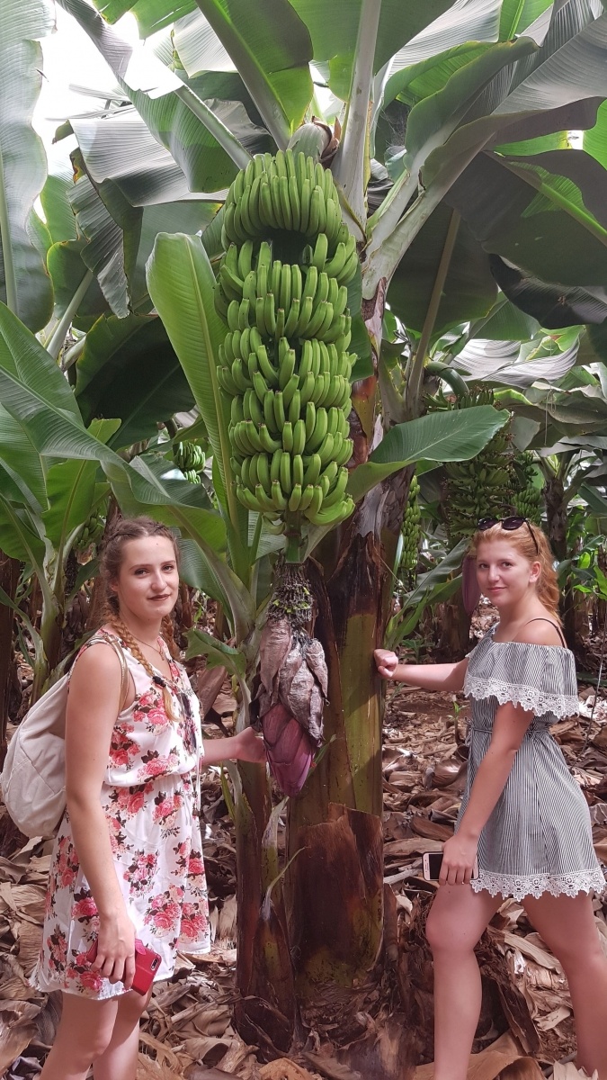 Zdjęcie w galerii na portalu naszraciborz.pl: Cypr i Teneryfa to cel zagranicznych staży uczniów CKZiU nr 1 w Raciborzu wiadomości z regionu