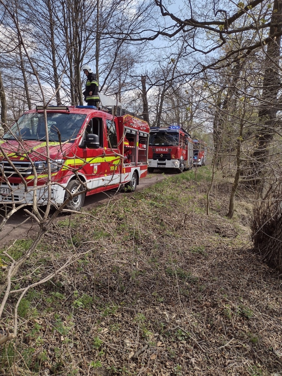 Zdjęcie w galerii na portalu naszraciborz.pl: Raport 998. Pożar trawy w Rzuchowie. Czad przy Spółdzielczej wiadomości z regionu