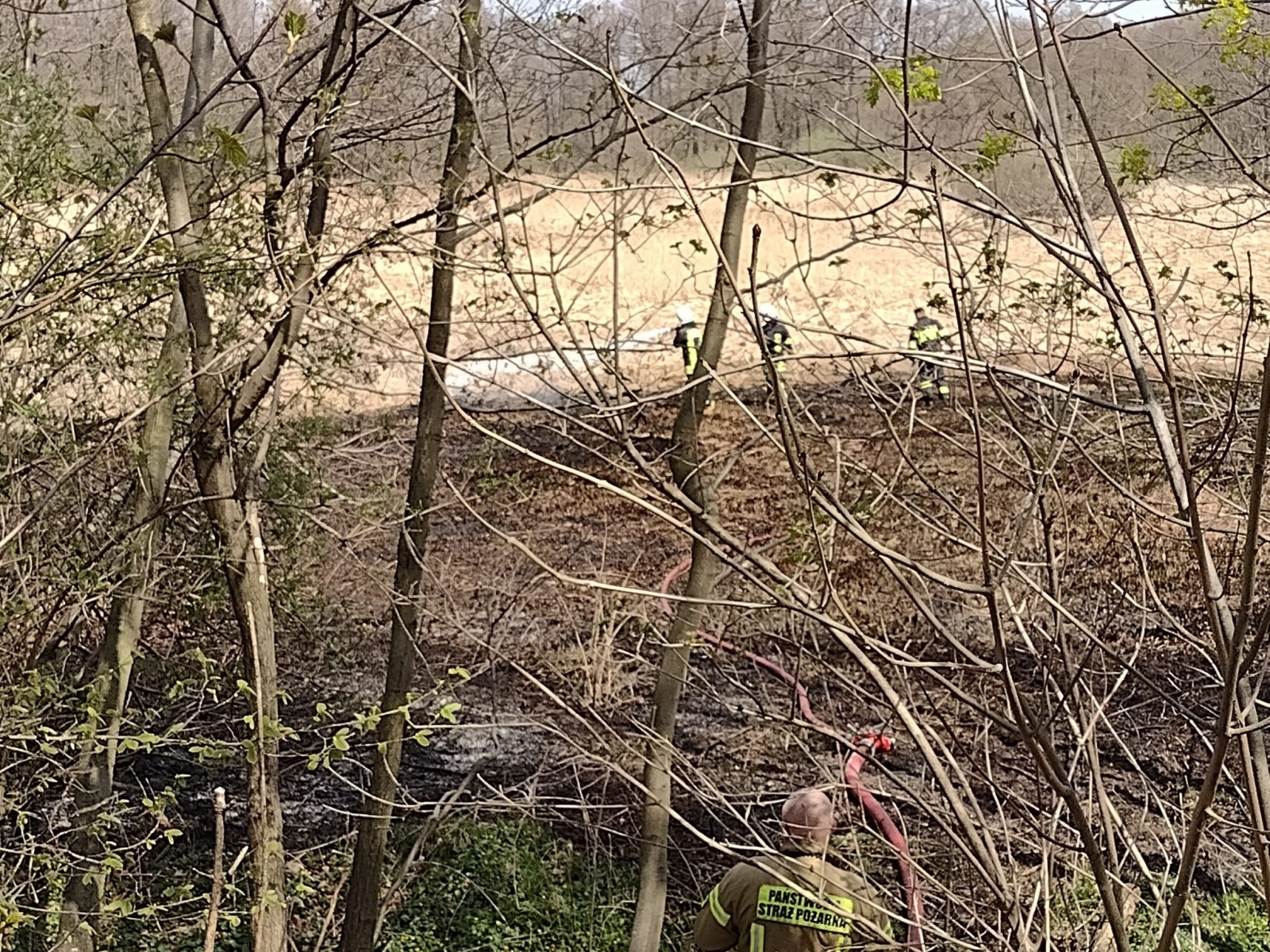 Zdjęcie w galerii na portalu naszraciborz.pl: Raport 998. Pożar trawy w Rzuchowie. Czad przy Spółdzielczej wiadomości z regionu