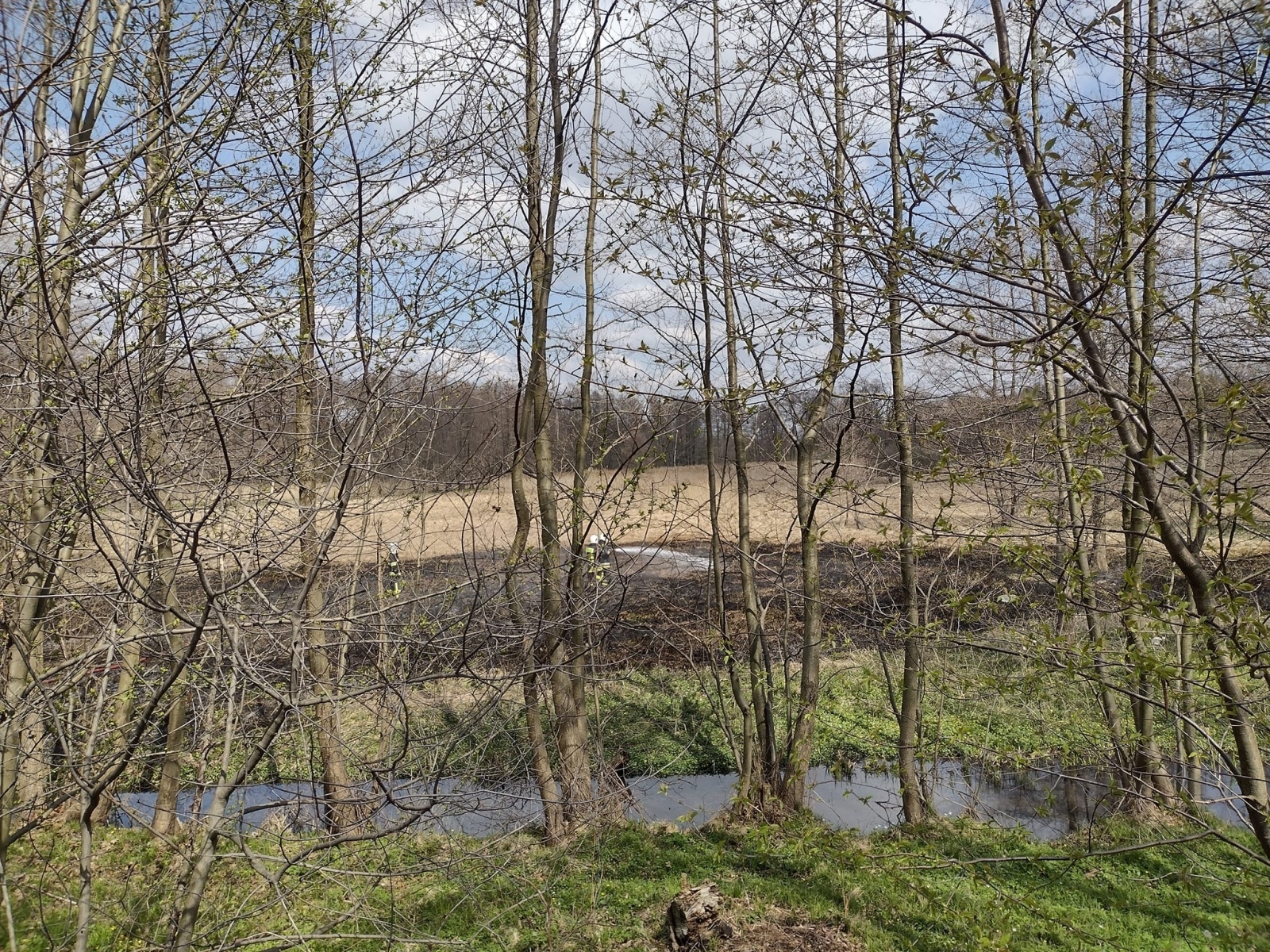 Zdjęcie w galerii na portalu naszraciborz.pl: Raport 998. Pożar trawy w Rzuchowie. Czad przy Spółdzielczej wiadomości z regionu