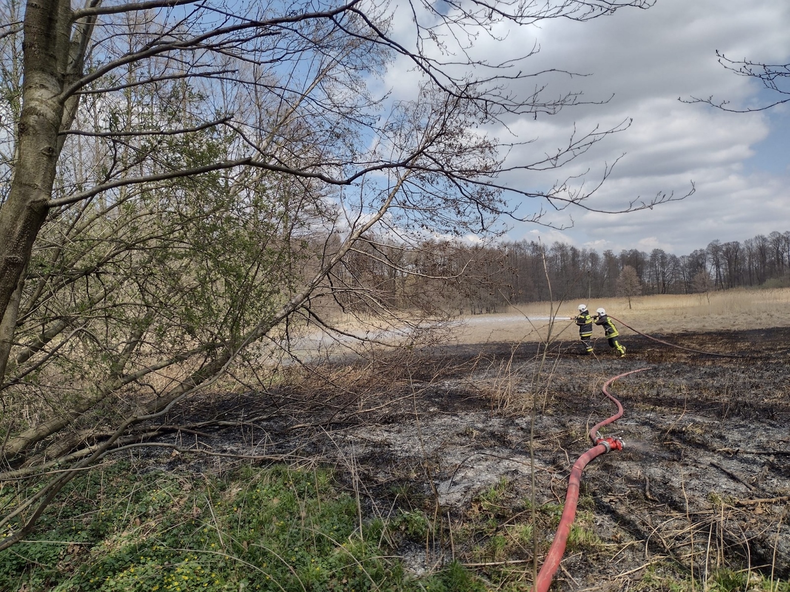 Zdjęcie w galerii na portalu naszraciborz.pl: Raport 998. Pożar trawy w Rzuchowie. Czad przy Spółdzielczej wiadomości z regionu