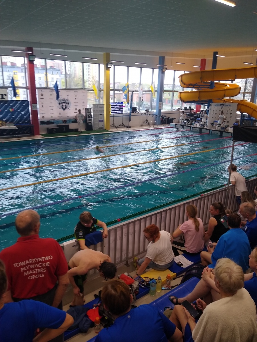 Zdjęcie w galerii na portalu naszraciborz.pl: Pływackie Koziołki 2022. Medale Adolfa Piechuli wiadomości z regionu