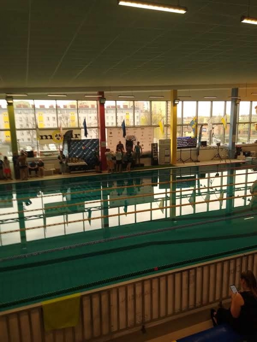 Zdjęcie w galerii na portalu naszraciborz.pl: Pływackie Koziołki 2022. Medale Adolfa Piechuli wiadomości z regionu