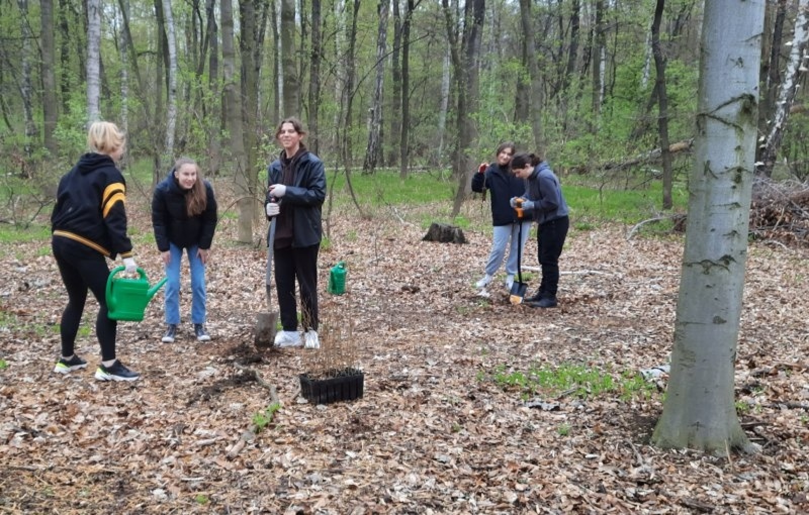 Zdjęcie w galerii na portalu naszraciborz.pl: Wokół Arboretum Bramy Morawskiej posadzono nowy las wiadomości z regionu