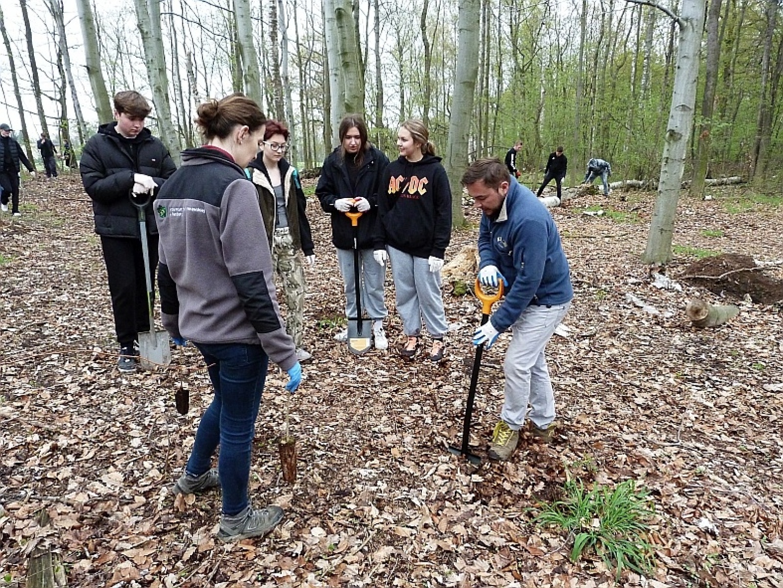 Zdjęcie w galerii na portalu naszraciborz.pl: Wokół Arboretum Bramy Morawskiej posadzono nowy las wiadomości z regionu