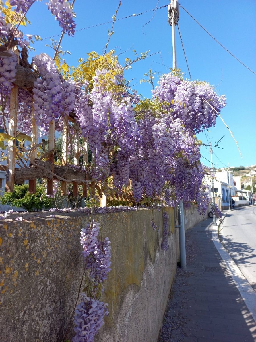 Zdjęcie w galerii na portalu naszraciborz.pl: Uczniowie ZSO nr 1 wrócili z włoskiej wyspy Lipari wiadomości z regionu