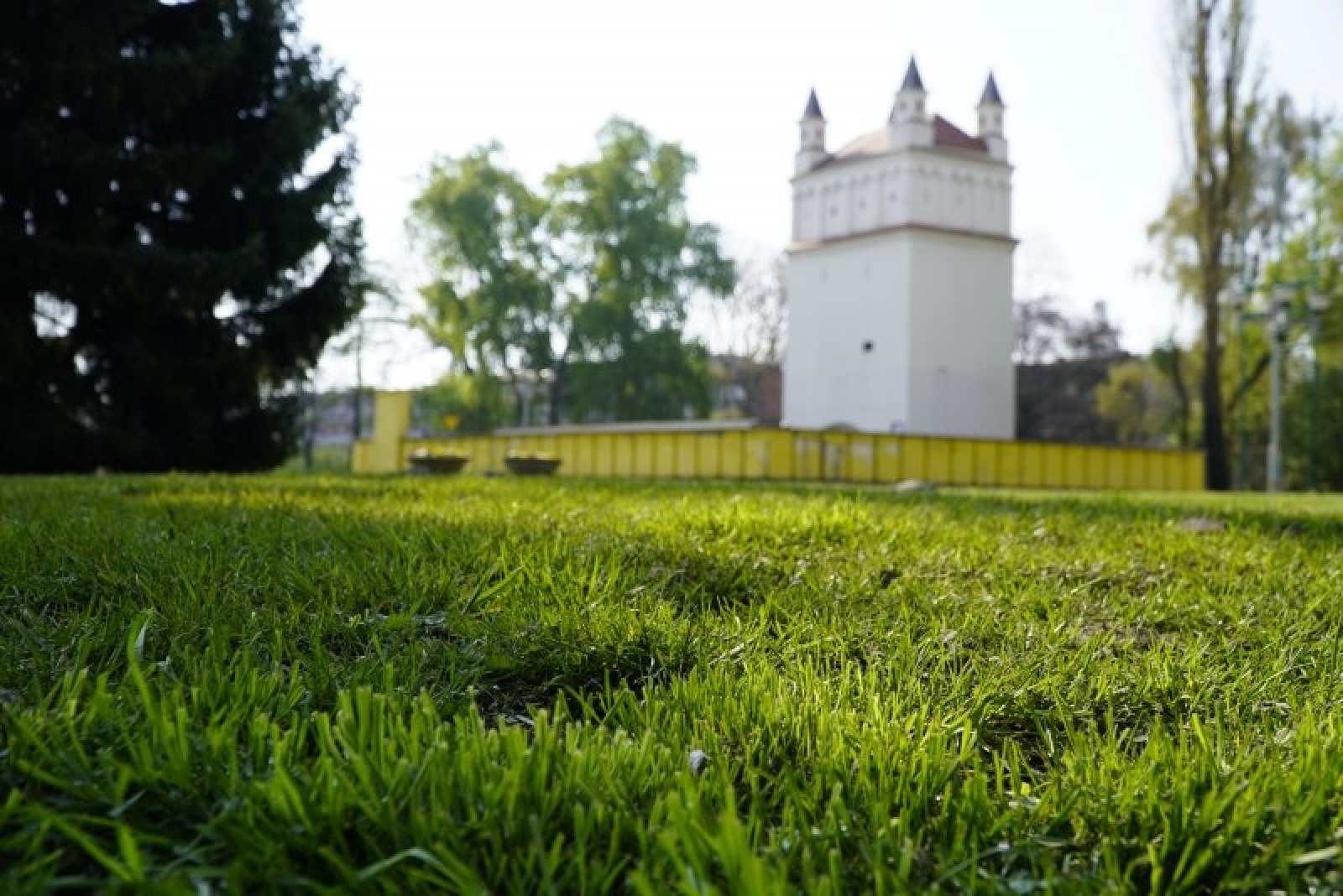 Zdjęcie w galerii na portalu naszraciborz.pl: W Raciborzu ruszyły wiosenne porządki. Gdzie waszym zdaniem powinny pojawić się służby? wiadomości z regionu