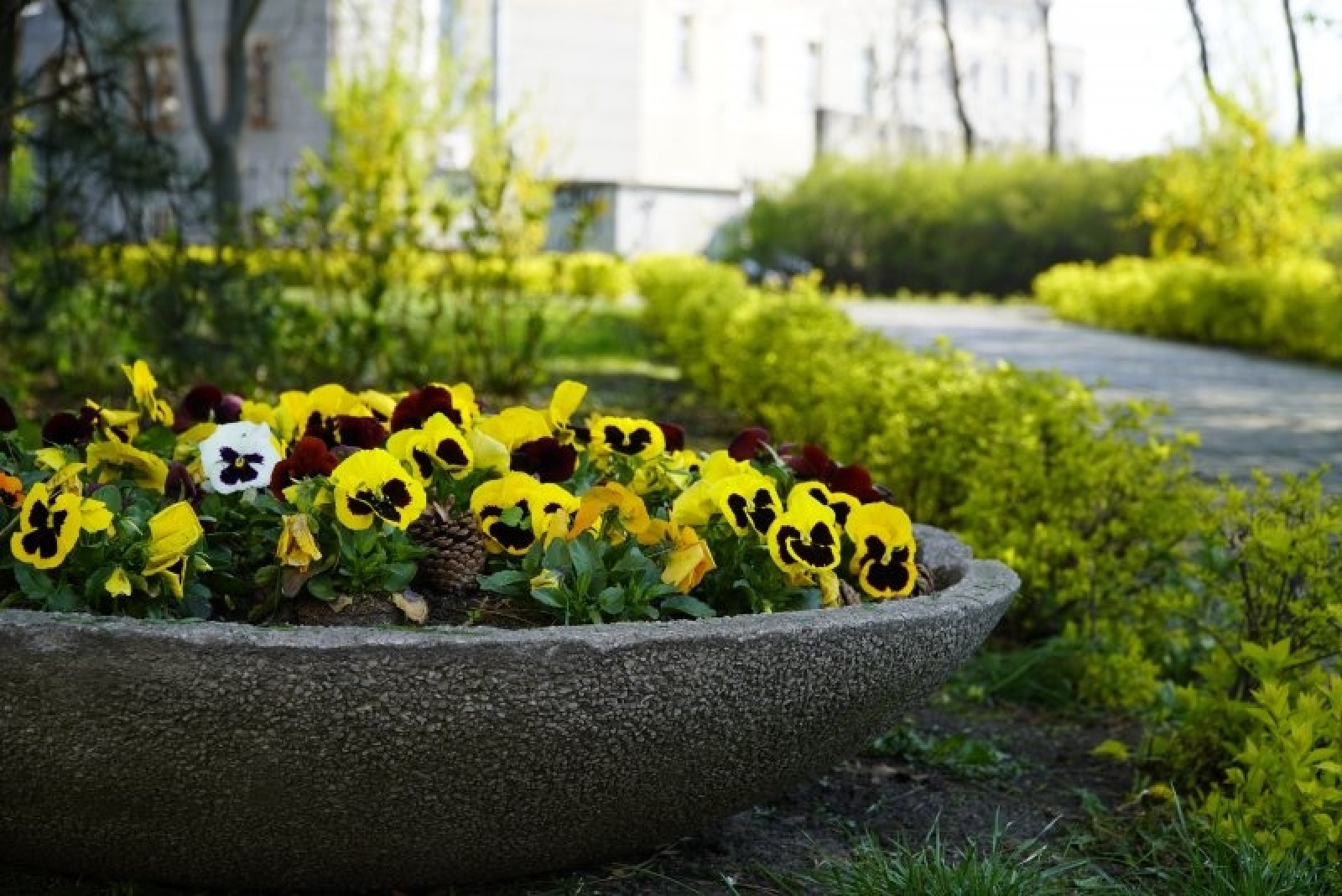 Zdjęcie w galerii na portalu naszraciborz.pl: W Raciborzu ruszyły wiosenne porządki. Gdzie waszym zdaniem powinny pojawić się służby? wiadomości z regionu