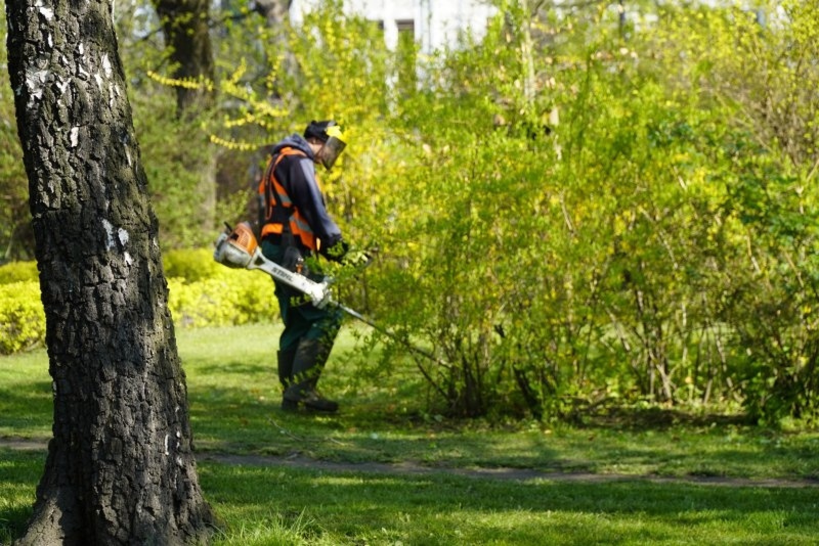 Zdjęcie w galerii na portalu naszraciborz.pl: W Raciborzu ruszyły wiosenne porządki. Gdzie waszym zdaniem powinny pojawić się służby? wiadomości z regionu