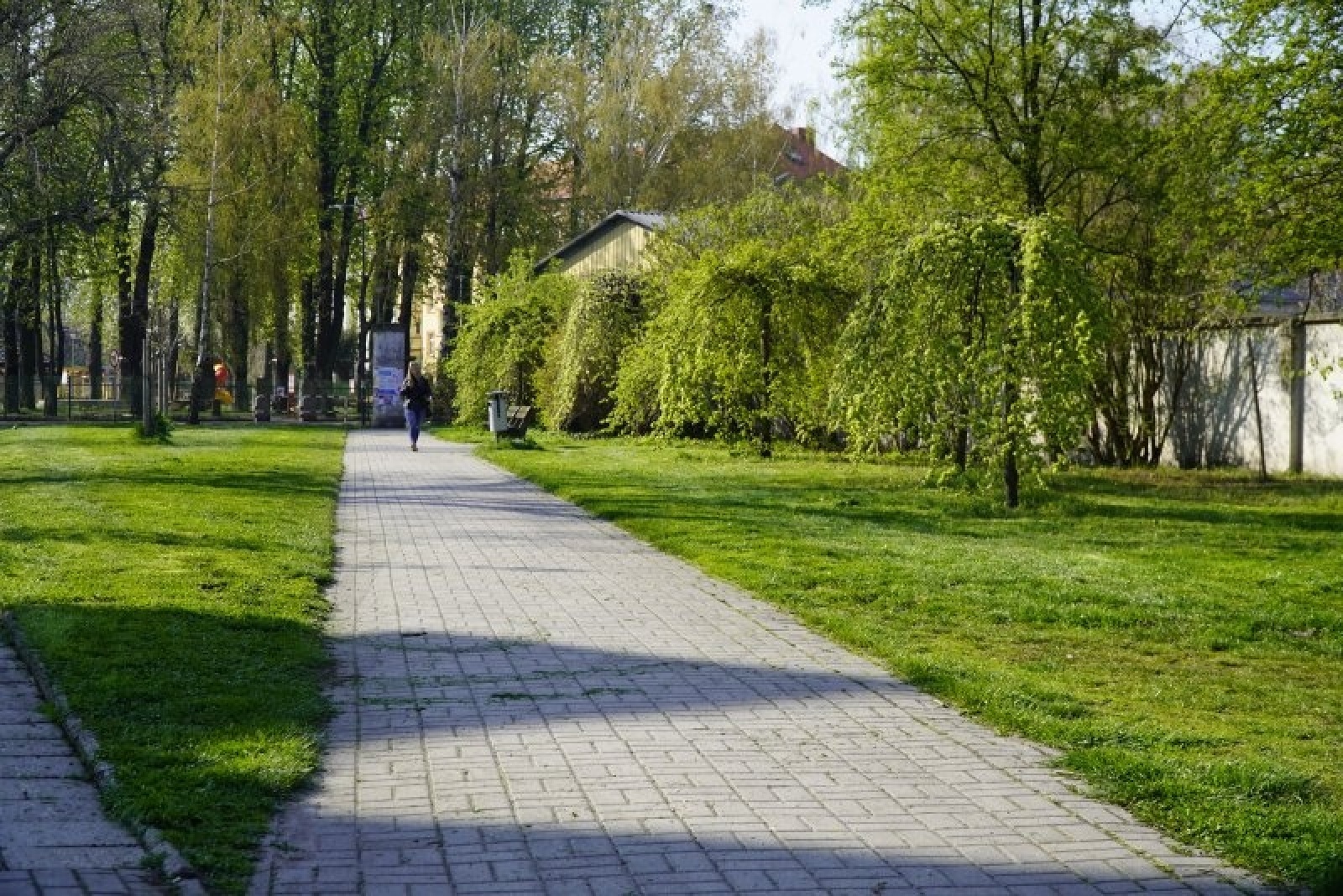 Zdjęcie w galerii na portalu naszraciborz.pl: W Raciborzu ruszyły wiosenne porządki. Gdzie waszym zdaniem powinny pojawić się służby? wiadomości z regionu