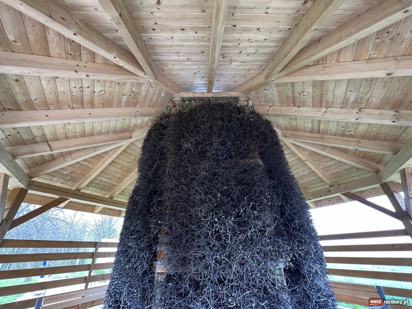 Zdjęcie w galerii na portalu naszraciborz.pl: Fantastyczne miejsce pod Raciborzem - z widokami i mikroklimatem [FOTO i WIDEO] wiadomości z regionu